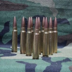 7.65 Argentine brass case dummy rds. 10 round pack 7.65 Argentine cdvs.15.applicationx.net